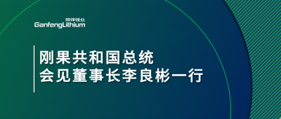 刚果共和国总统会见开云电子体育锂业董事长李良彬一行